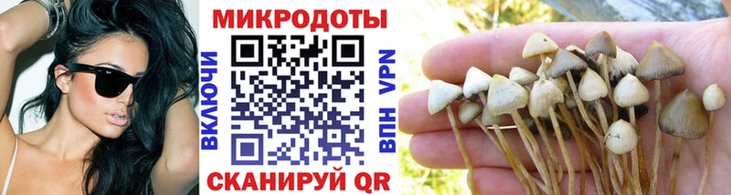 Галлюциногенные грибы Magic Shrooms  Спасск 